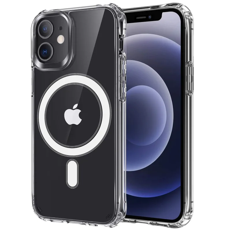 Case with magnetic case