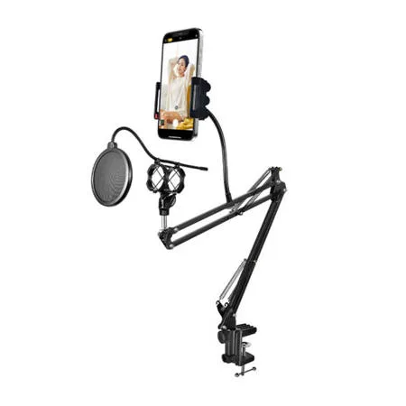 REMAX Audio Recorder CK100 Pro