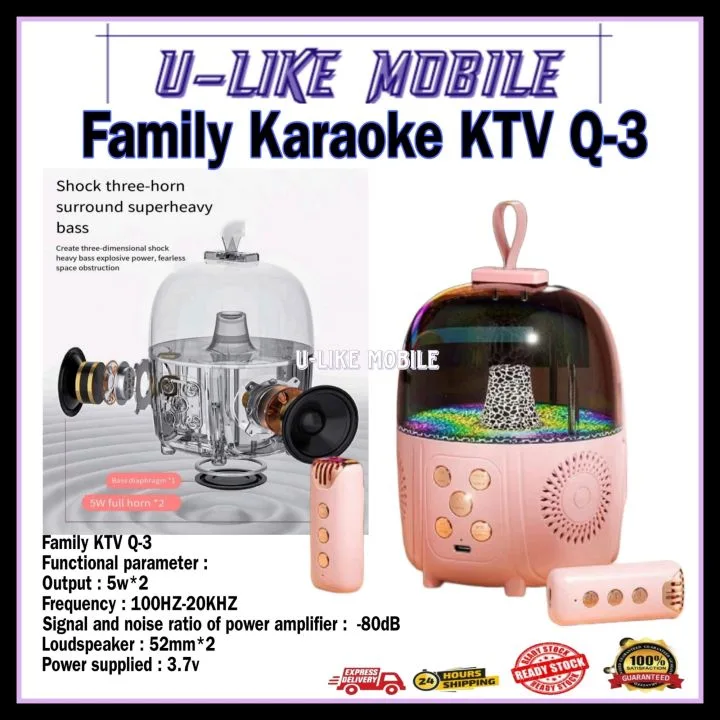 Family KTV Q3 Speaker