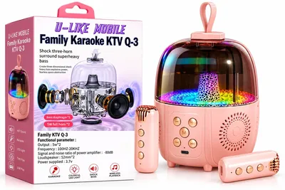 Family KTV Q3 Speaker