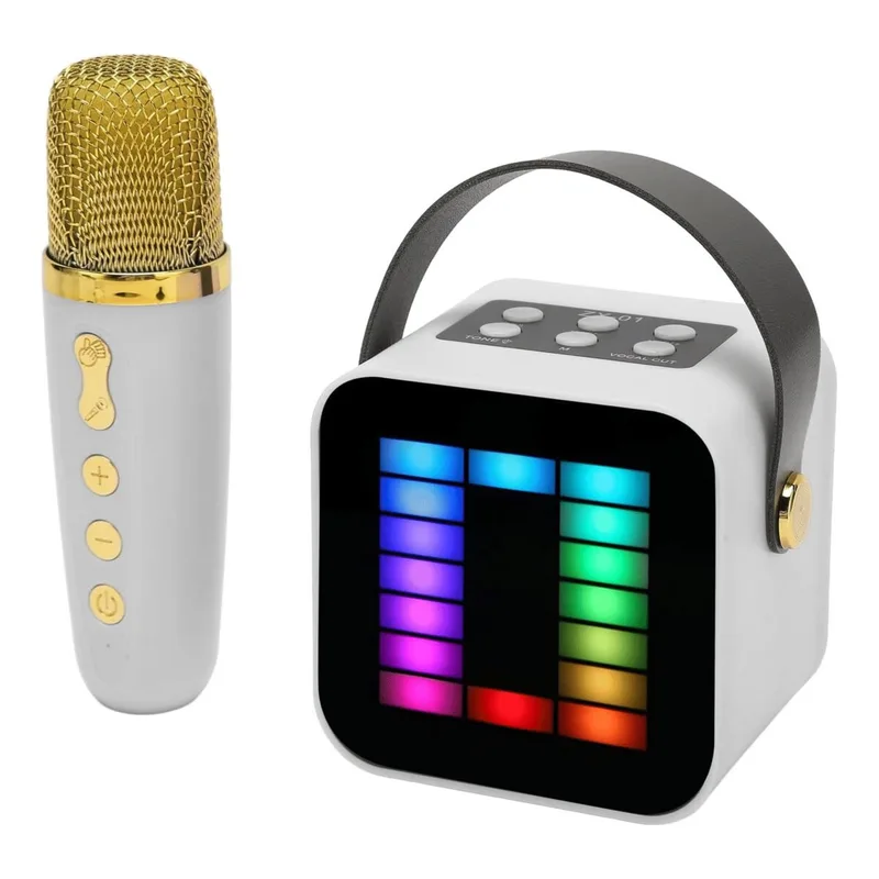 Karaoke Microphone ZX01