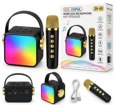 Wireless MicroPhone with Speaker ZX-03
