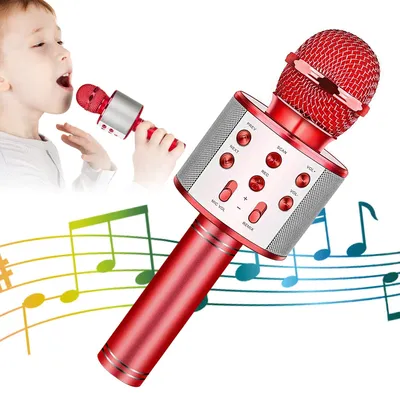 Karaoke Microphone Boy Mic