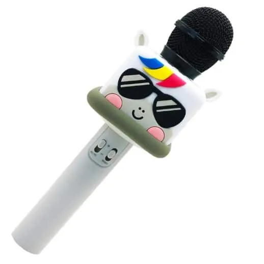 Karaoke Microphone ZX-10
