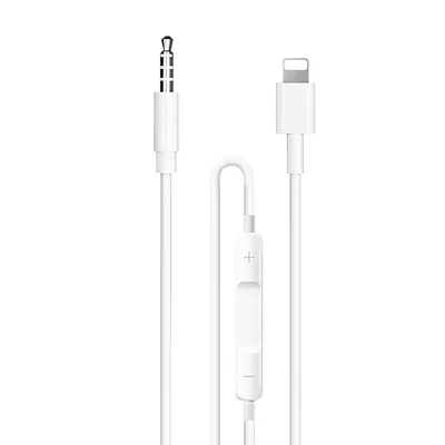 Earldom Lighting to 3.5MM aux with Voice Controlling ET-AUX42