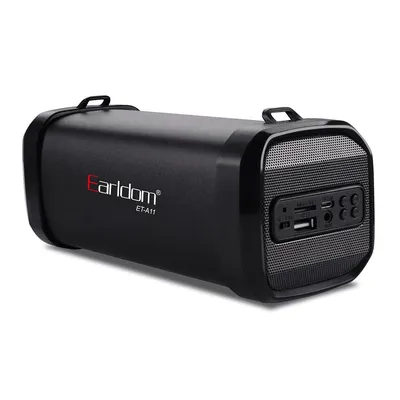 Earldom Speaker A11