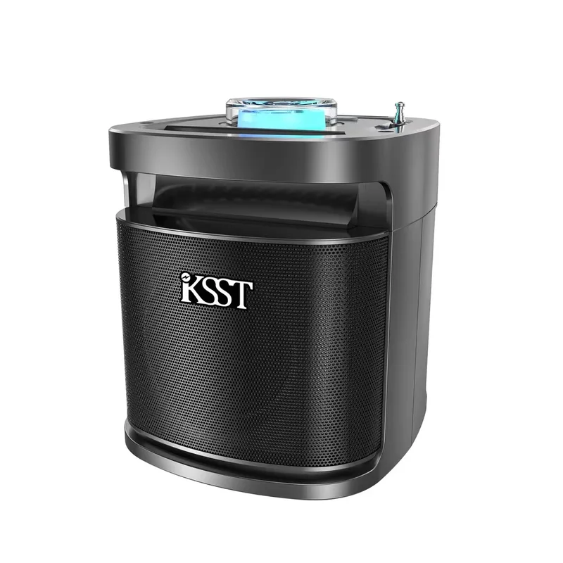 Speaker With Microphone K103