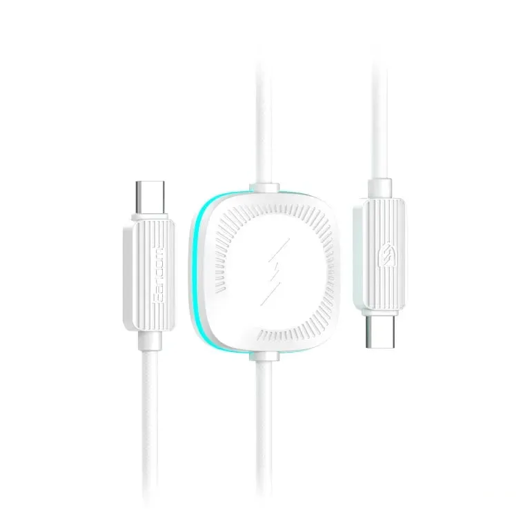 Earldom Dual USB-C 60W CC51