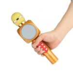 მიკროფონი 1816