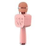 Karaoke Microphone C500