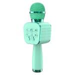 Karaoke Microphone C500 - Image 2